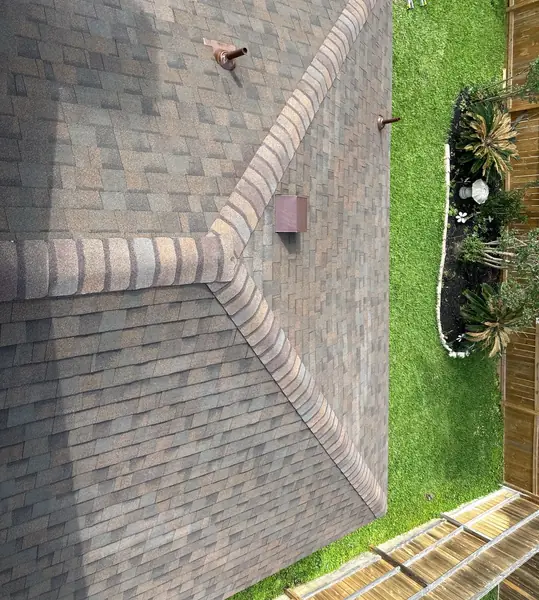 Top-down view of the finished hips and the back yard