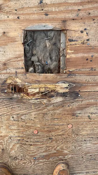 Rotted roof decking cut out around an exhaust vent during tear-off