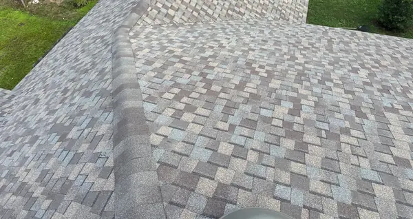 Rear hip of the new roof above the back yard