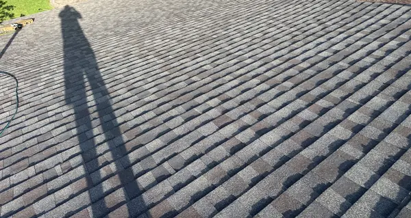 Shingle field of the completed roof